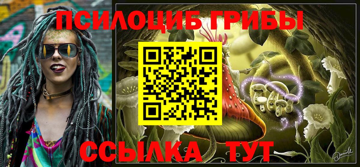 Галлюциногенные грибы Psilocybine cubensis  закладки  Полысаево  Вход с VPN 
