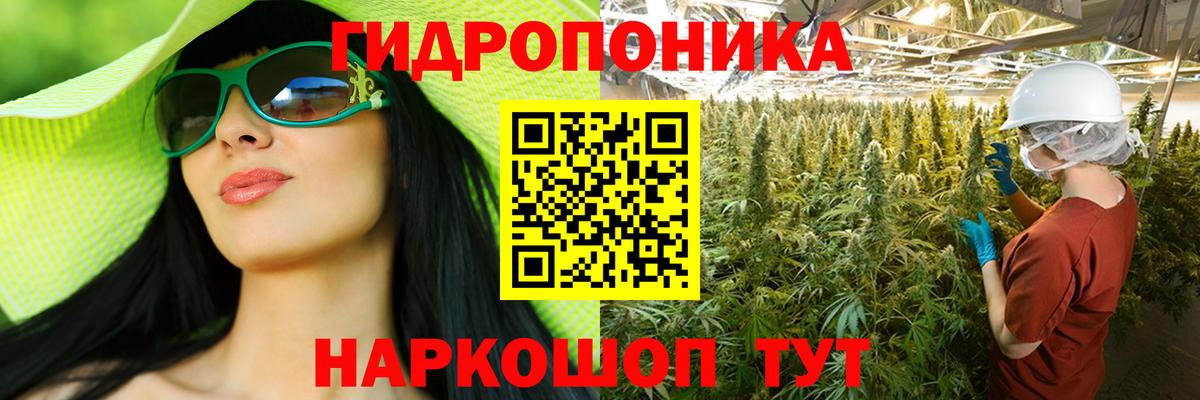 Канабис Bruce Banner Полысаево